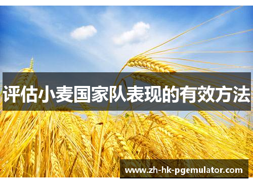 评估小麦国家队表现的有效方法