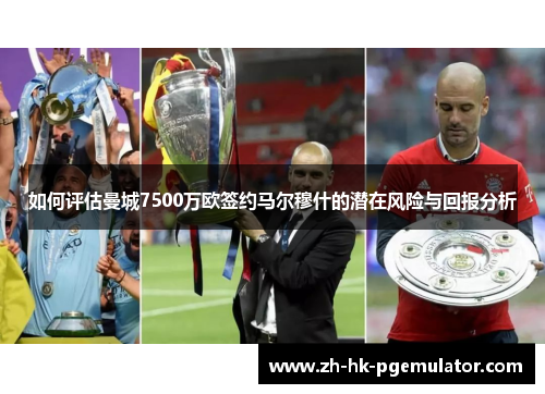 如何评估曼城7500万欧签约马尔穆什的潜在风险与回报分析