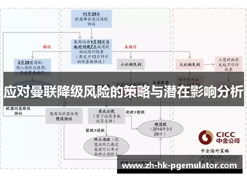 应对曼联降级风险的策略与潜在影响分析