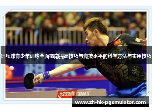 乒乓球青少年训练全面指南提高技巧与竞技水平的科学方法与实用技巧