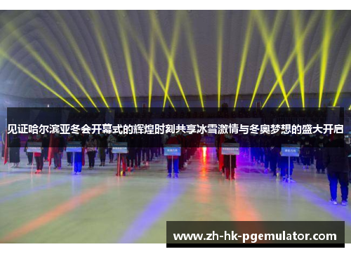见证哈尔滨亚冬会开幕式的辉煌时刻共享冰雪激情与冬奥梦想的盛大开启 见证哈尔滨亚冬会开幕式的辉煌时刻共享冰雪激情与冬奥梦想的盛大开启