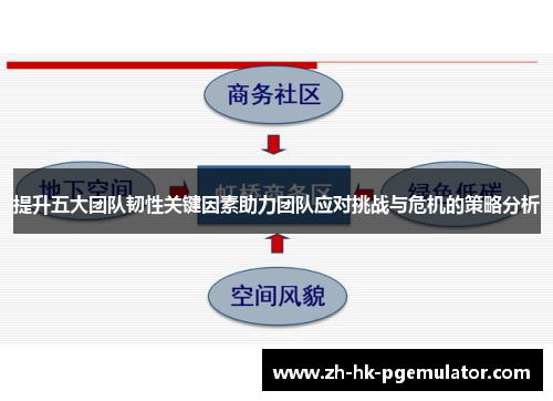 提升五大团队韧性关键因素助力团队应对挑战与危机的策略分析