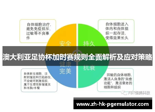 澳大利亚足协杯加时赛规则全面解析及应对策略